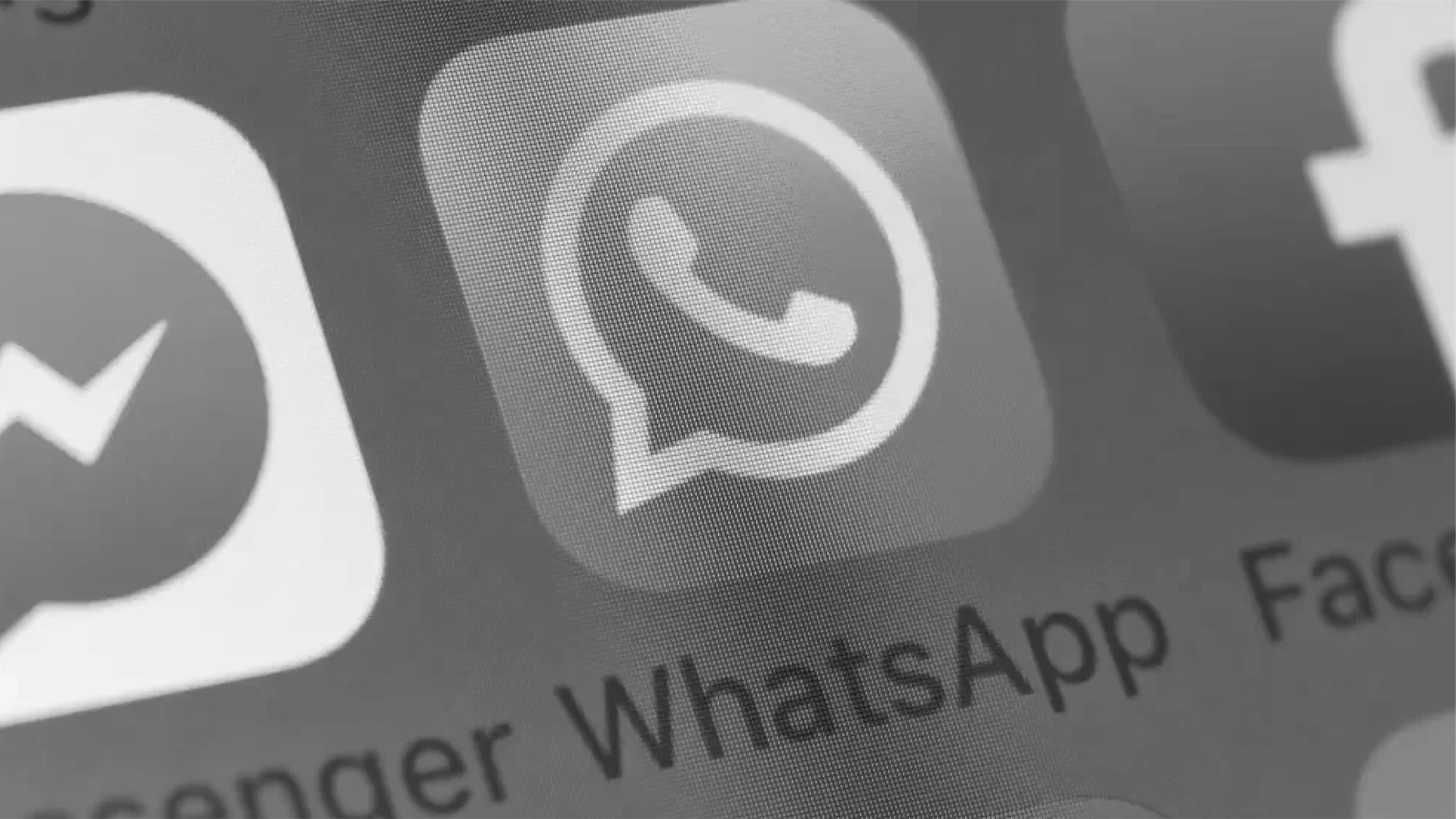 Figurinhas de WhatsApp: Como gerar sua estratégia digital